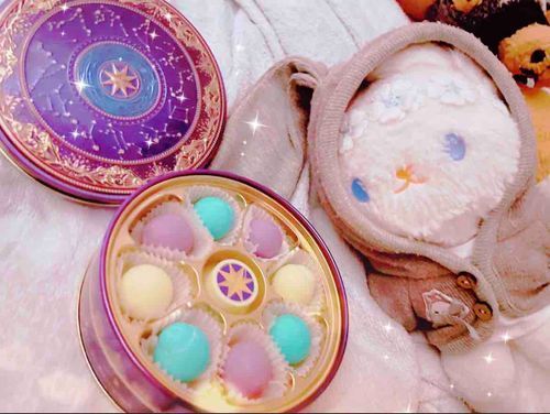 ふむふむ　おなやみかな？
ぼくがチョコのらしんばんで　うらなってあげよう🔮(もぐもぐ)