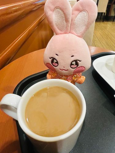 びょりちゃんって
ちがいのわかる うさちゃんだから🍥
やぬしのこーひー のんじゃうもんね☕️