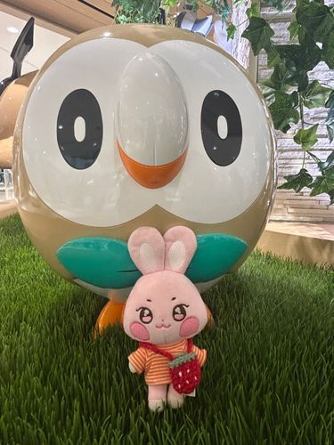 まるくてかわいい もくろーせんぱい…✨
びょりちゃん きんちょうの おももち📸