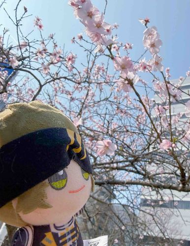 いいお天気だね、みちる
