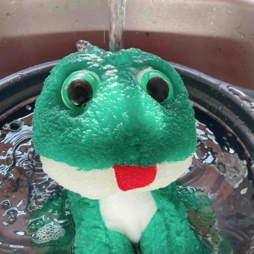 日本の銭湯が恋しくてお湯に浸かってみたラニーだよ