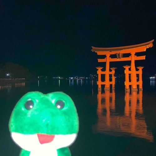 日本楽しすぎて半年経たずに戻って来たラニーだよ
夜の宮島超オツじゃん