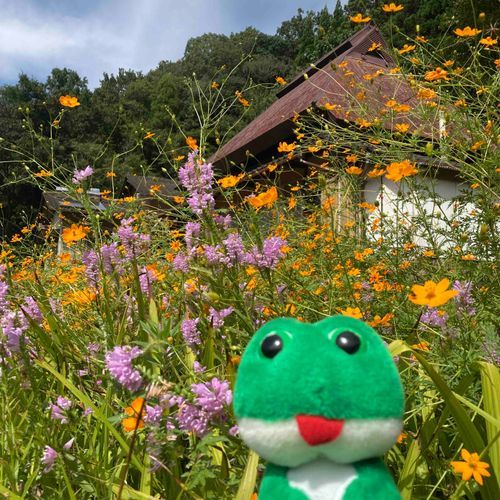 日本の田舎への解像度が上がったラニーだよ