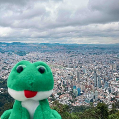 コロンビアのボゴタに来たよ
メキシコに住んでる身としては標高3150mくらいなら平常運転のラニーだよ