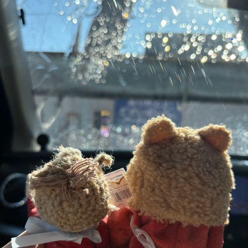 洗車日和✨🚘🧽🪣