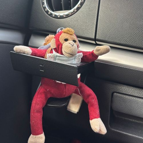 早く専用のチャイルドシート欲しいな😞