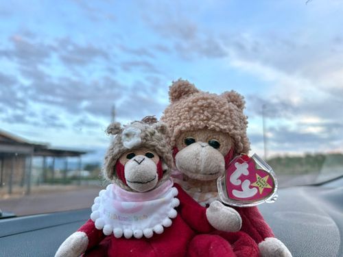 写真だと伝わりにくいけど、空が可愛かったんだ︎︎❣️