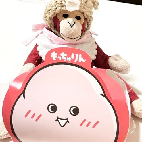 もっちゅりん‼️