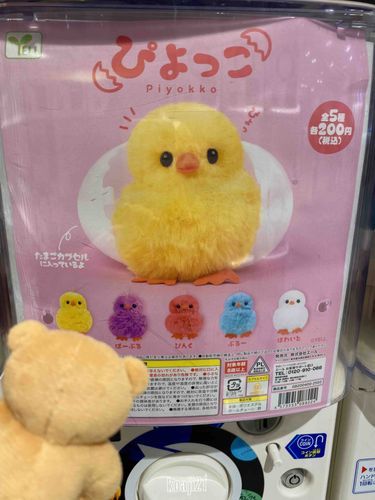 じーーーーー👀