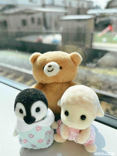 今日は電車に乗って、おでかけ🐾