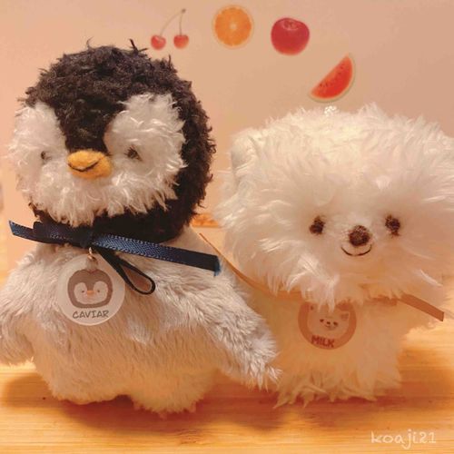 時間差になっちゃったけれど…
新しい仲間が増えたよ！
🐩みるくちゃん&きゃびあくん🐧