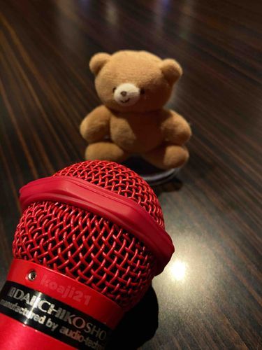この間、初めてカラオケというところに行ったよ🎤
大きな音楽と映像が流れてて楽しかった〜(❁´▽`❁)*✲ﾟ*