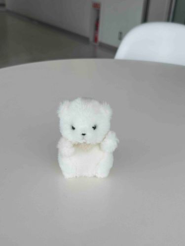 だいがくに やってきた！