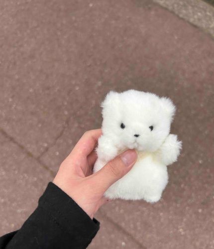 ぶかつにも つれていかれるよ
ちーむきゅうどう！えんじょい！