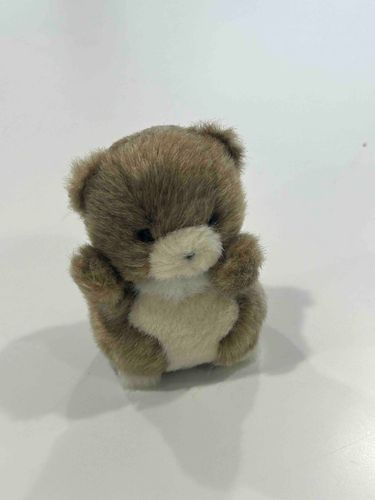 だいがくに きたぞ
しろいのは おうちで まってる🐻