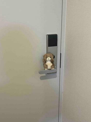 いてきます🐻