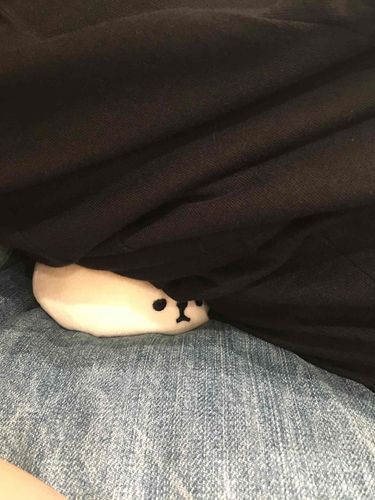これはかいぬしのおしりでつぶされたとき
いまだにゆるせないおこ