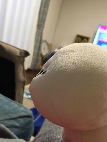 おはよう〜
これはむかしのしゃしん
かいぬしにあいんしゅたいんのいなださんみたいにさせられた