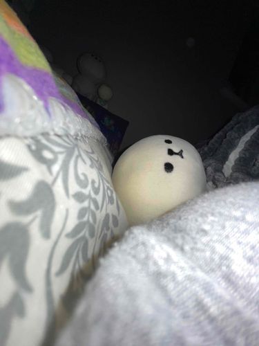 きょうはべっどひとりじめ
みんなきょうもいちにちおつかれさま
もうひにちまたいじゃったけど