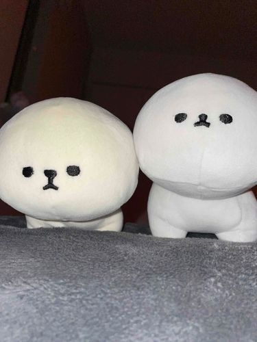 かいぬし、よふかしだめ
はやくねろ
