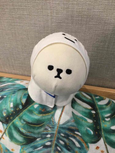 こんにちは
これはむかしのしゃしん
てるてるぼーずのいしょーがぱつぱつだった