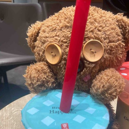 いつもはボブのぬいぐるみしてます🧸
ぼくの日常日記