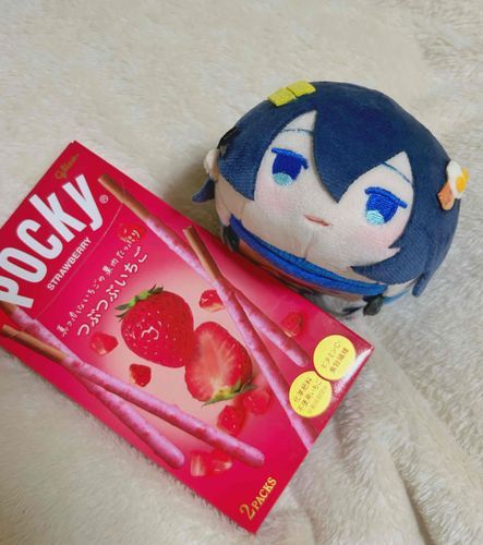 ぱしゅだよぉ！
あるじ ぽっき かてきてくれたよぉ🍓
いしょに たべよぉ😋