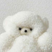 とらっこ