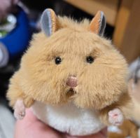 ぬこ