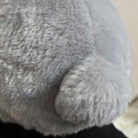 かわいいうさぎ