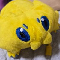 ぬこのポケモン達