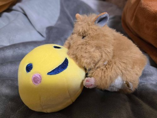 ただいま〜！
おつかれさまぁ
みんなゆっくり休もうね