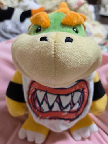 クッパJr、いつかお迎えしたいと思ってたから突然の出会いにびっくりした！

これからよろしくね