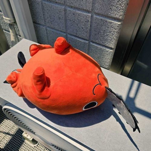 家に迎え入れられ、日向ぼっこさせられるポチタ