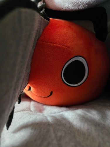 天気悪くて身体だるい
ポチタが寄り添ってくれてる
ありがとうね