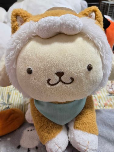 ポム柴ちゃんです 
元気いっぱい