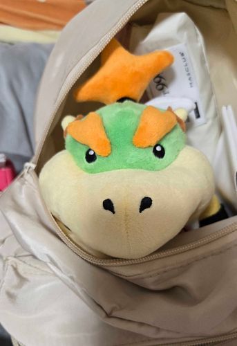 ディズニー行く準備してるんだけど…クッパJrがお出かけの雰囲気感じ取ってリュックの中へ…どうしたものか