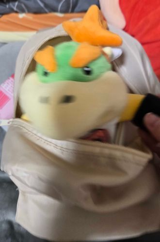 わ！！すごい抵抗力！！

クッパJr｢やだ！！ボクもお出かけ行く！！｣