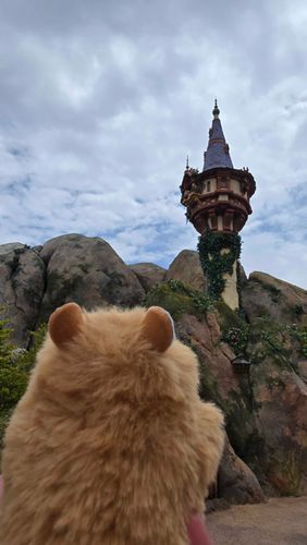 ディズニーシー、いてきまちた