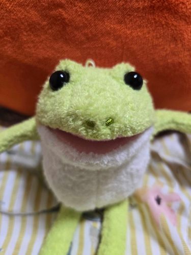 新しく仲間入りしたあま助(あますけ)