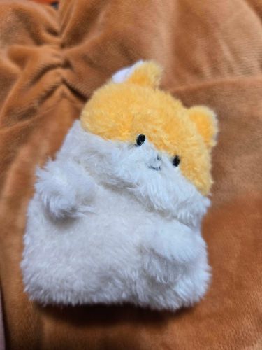 ブックオフにいました
綺麗に整えていくよ〜