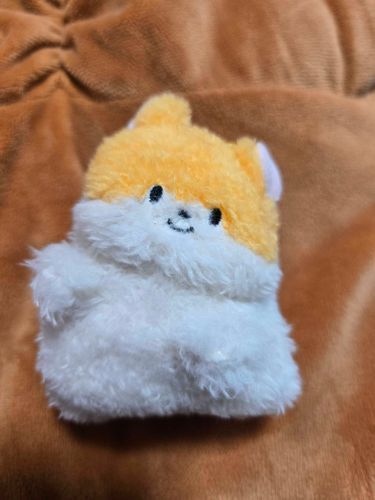 きゅるり
ふわもちだね