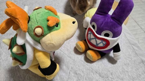 クッパJr、君にお友達を連れてきたんだ
トッテンだよ
仲良くできるかな？