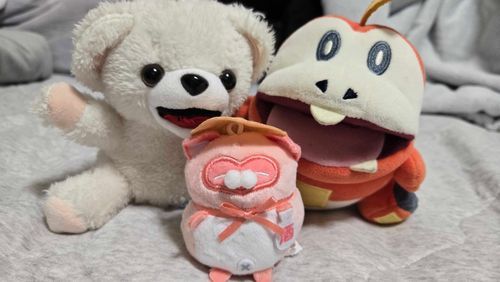 本日の仲間入り
ファーファ
ホゲータ
ピンクのたぬき