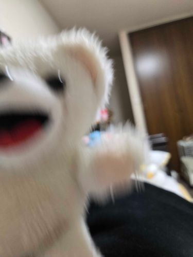 こんばわ！！！
オイラファーファ！
よろしくね！！
