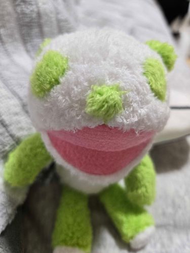 生茶先生