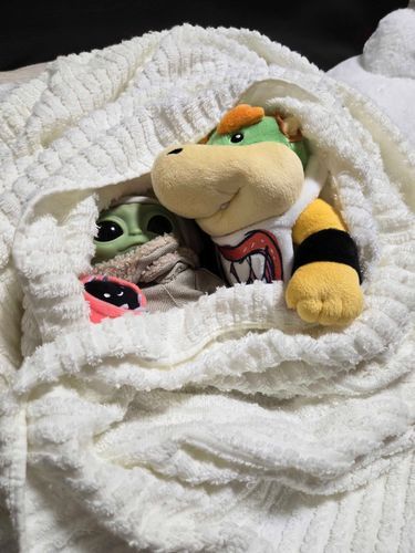 クッパJrが新入りのグローグーと一緒にいるよ

雷を怖がってるグローグーを守ってくれてるみたい

立派なお兄ちゃんだね