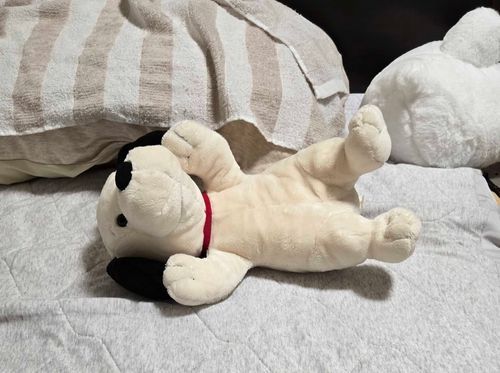 かわいい、ワンちゃん
ヴィンテージスヌーピーなんだね
今のスヌーピーよりも犬感強いの好き