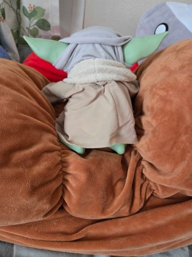 んしょんしょと、一生懸命登ってる 

落ちないでね