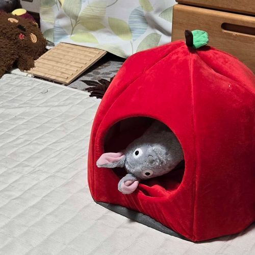 かわいいうさぎをお迎えしました

まだ人見知りしてるみたい